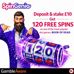 Spin Genie Top 10s Free Spins image