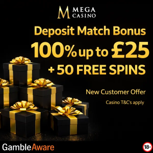 Mega Casino Top 10s Mixed Bonus image