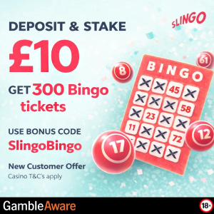Slingo Top 10s Bingo Bonus image