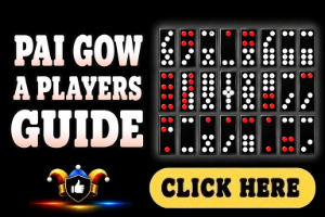 Pai Gow A Players Guide image on a black background witrh white text