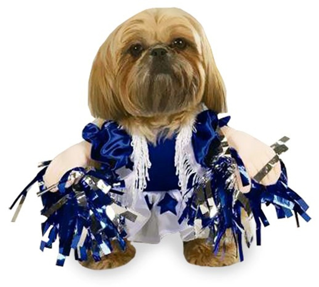 Dog Halloween Costume Spirit Paws Cheerleader by Zack & Zoey Sizes S to XL