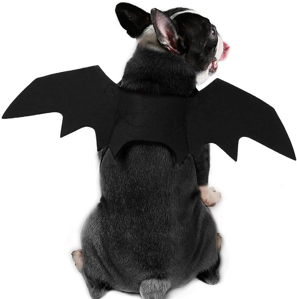 Halloween Dog Bat Wing Costume for Cats and Small to Large Dogs
