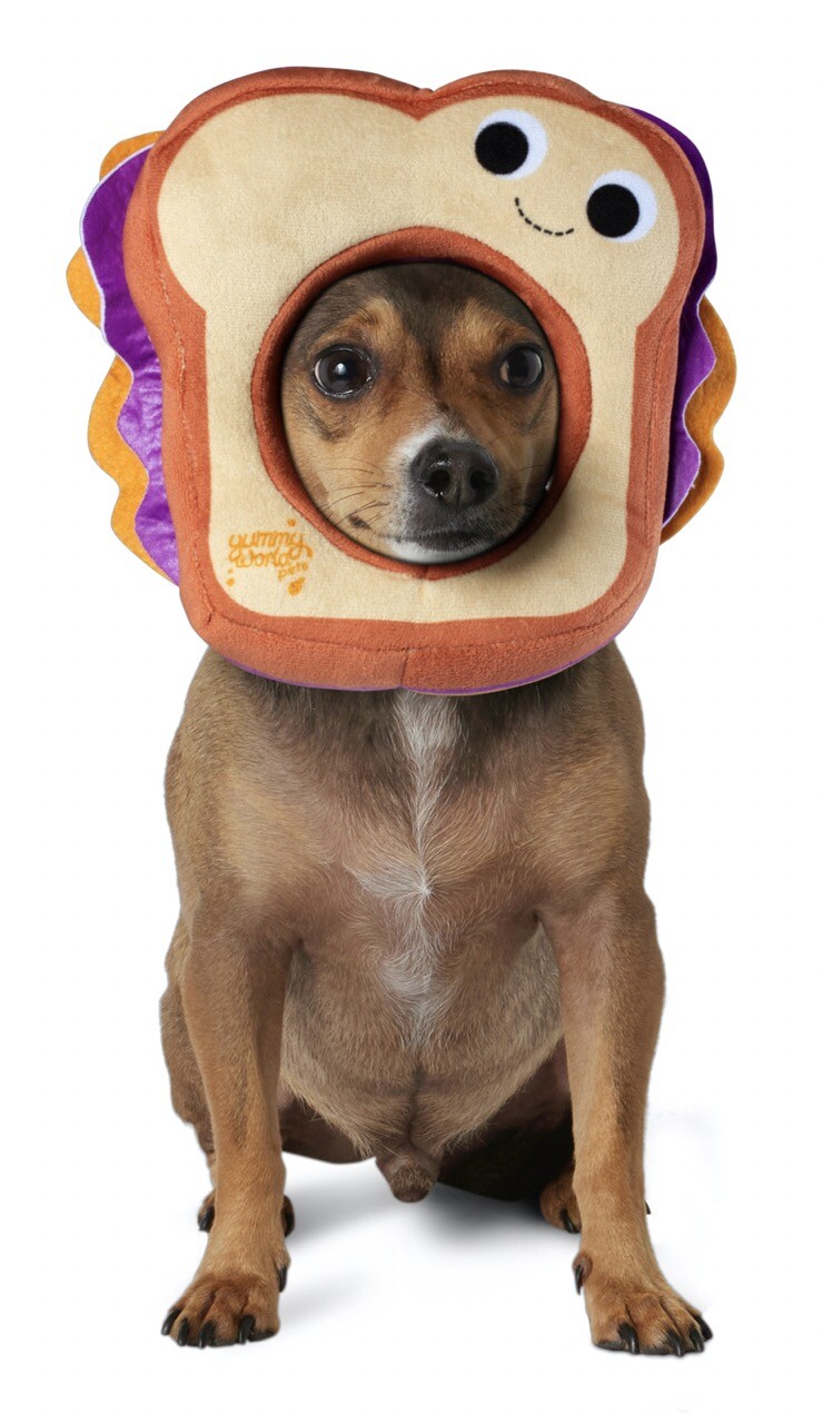 Dog Cat Pet Halloween Costume Peanut Butter and Jelly