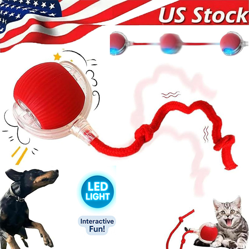 Automatic Rolling Ball Smart Cat Dog Toy Electric Pet Self-moving Kitten Game US