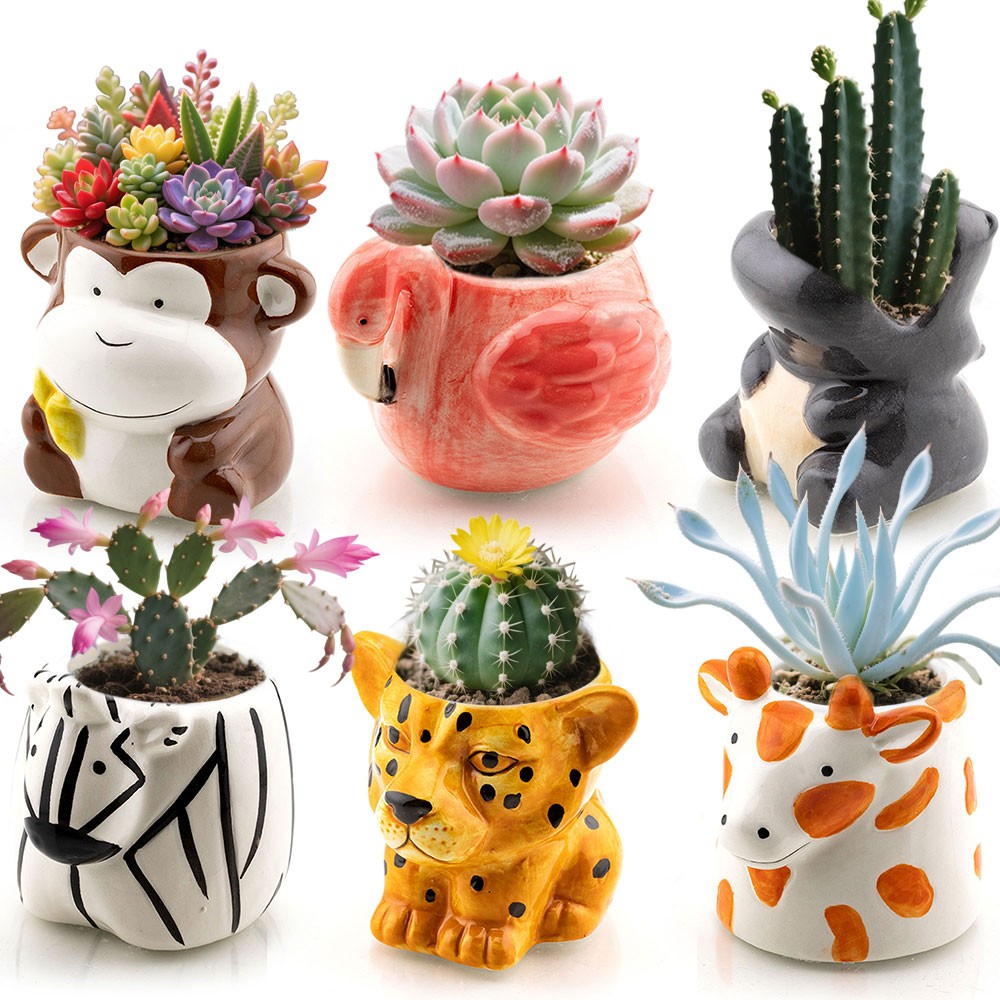 Cute Animal Shaped Cartoon Home Decoration Succulent Planter Flower Pots 6 Pcs