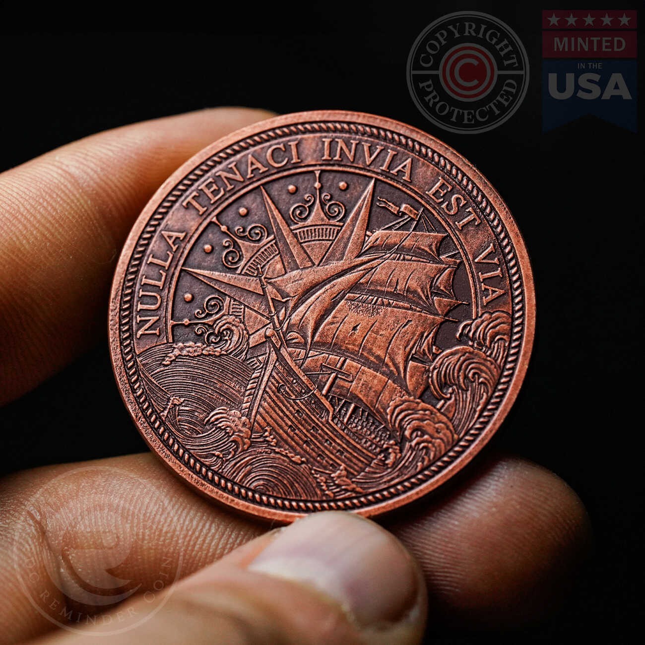 Tenacity Coin |EDC Reminder Coins | EDC Quote Coin | Unique Gift Coins