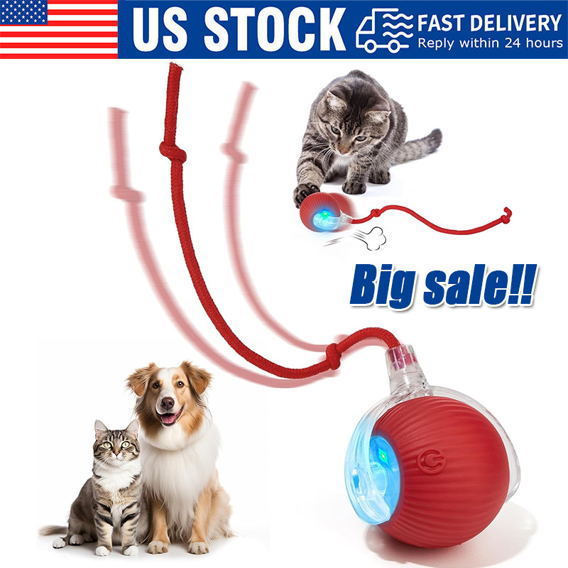 Automatic Rolling Ball Smart Cat Dog Toy Electric Pet Self-moving Kitten Game US