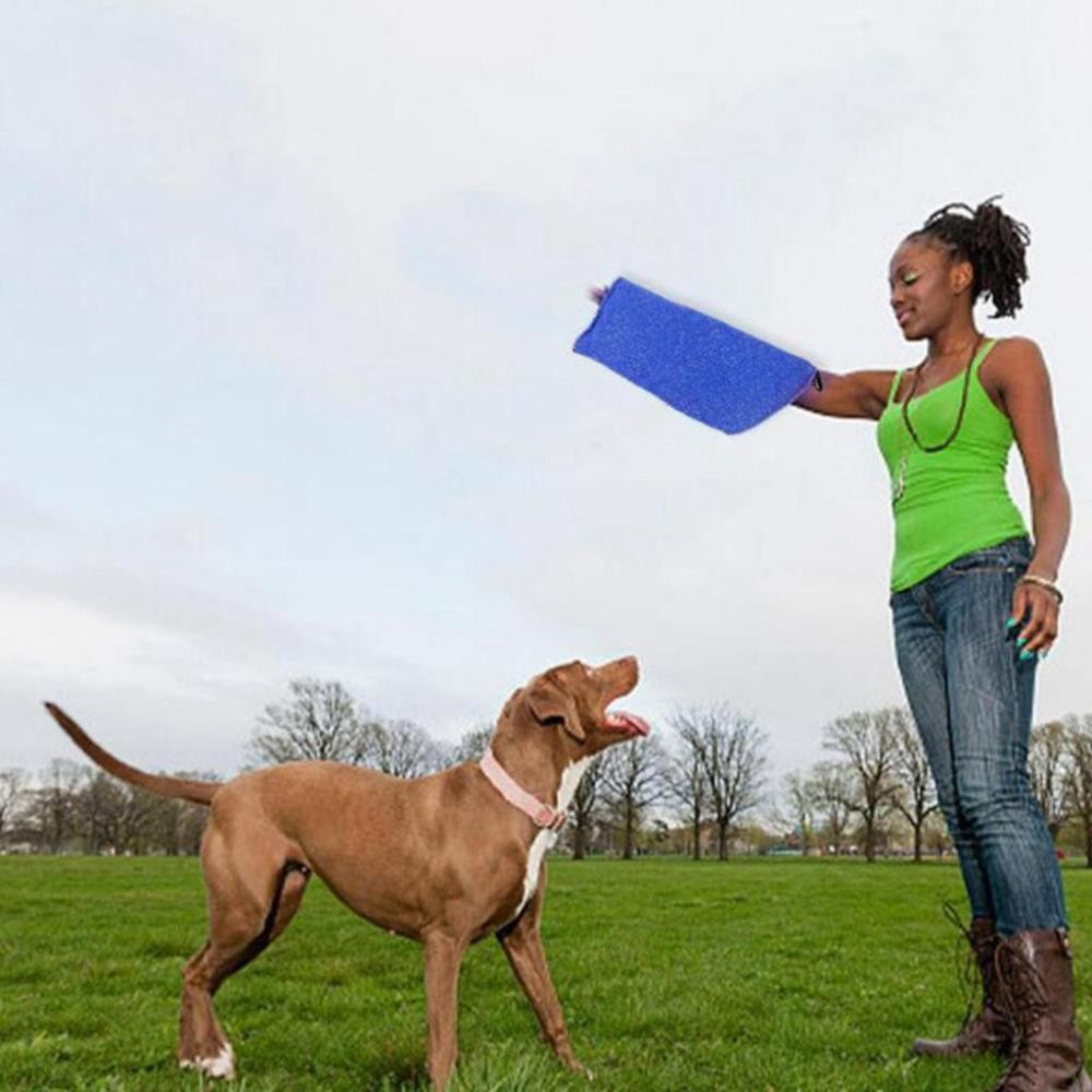 Professional Dog Bite Sleeve Cloth Arm Guard for German Shepherd Malinois