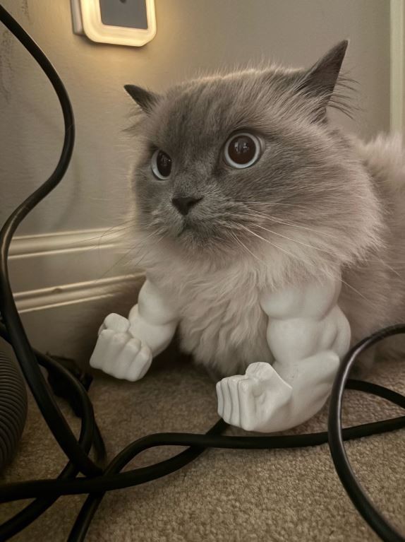 Hulk Arms for Cat – 3D Printed Funny Pet Costume Accessory, Muscles