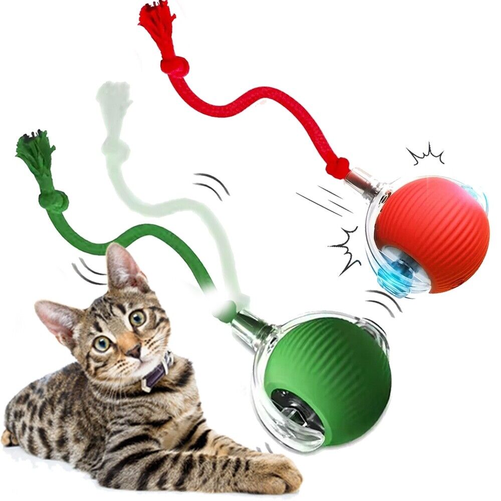 Cat Dog Toy Automatic Rolling Ball Smart Electric Pet Self-moving Kitten Game US