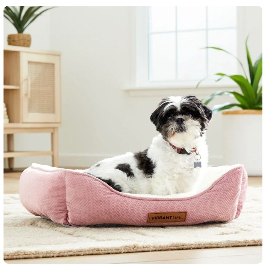  Pet Bed - Vibrant Life Soft Pink & White Cozy Cushion for Dogs/Cats 