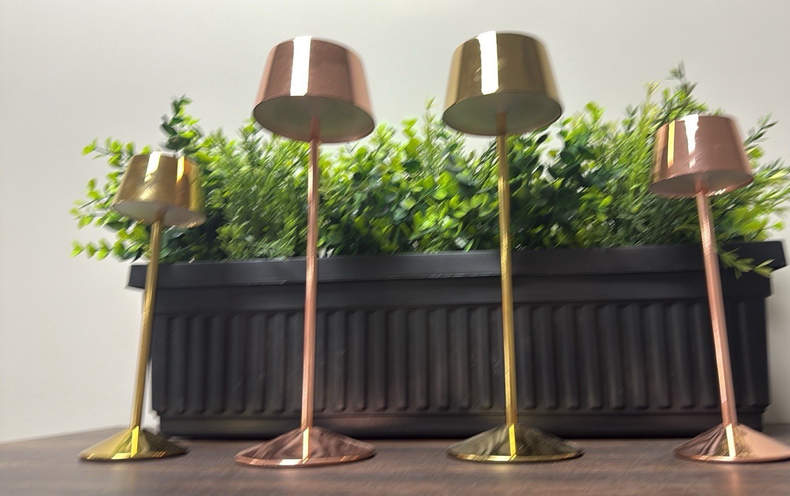 Luxury Lighting Cordless Recharge LED Table Lamp