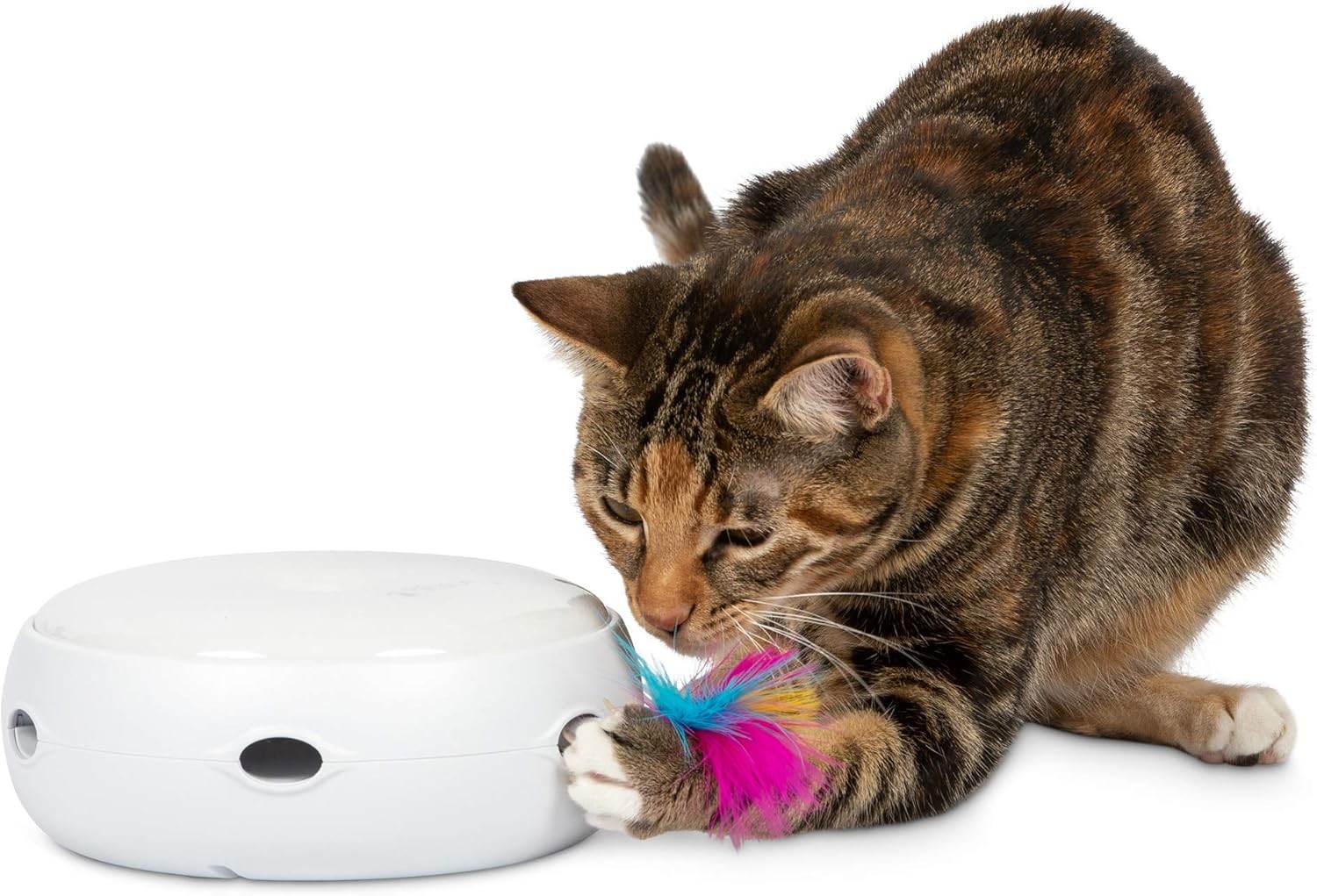 Interactive Cat Toy with Feather & LED Light