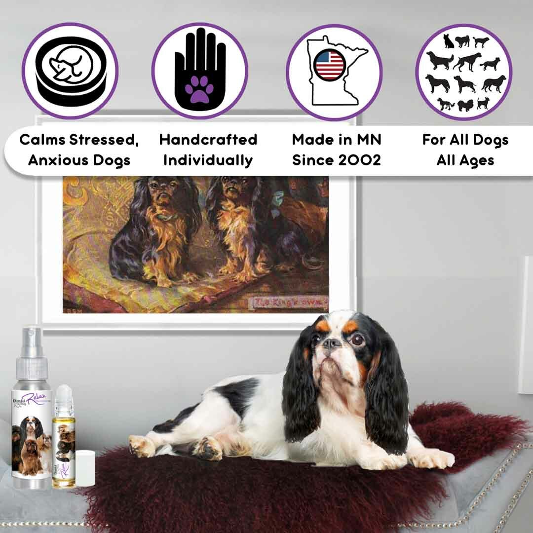 English Toy Spaniel Relax Dog Aromatherapy | Calms Anxious Scared Dogs Naturally