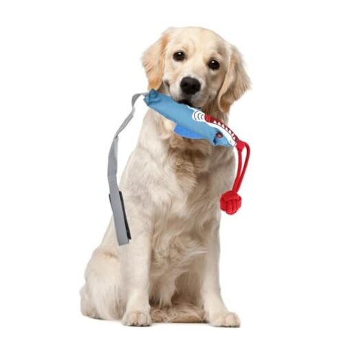 Durable Rubber & Nylon Pet Tug Toy for Interactive Play and Energy Release Shark
