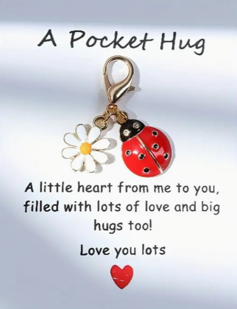 A Pocket Hug Poem Card Ladybug & Daisy Keychain Charm Gift Inspirational Friends