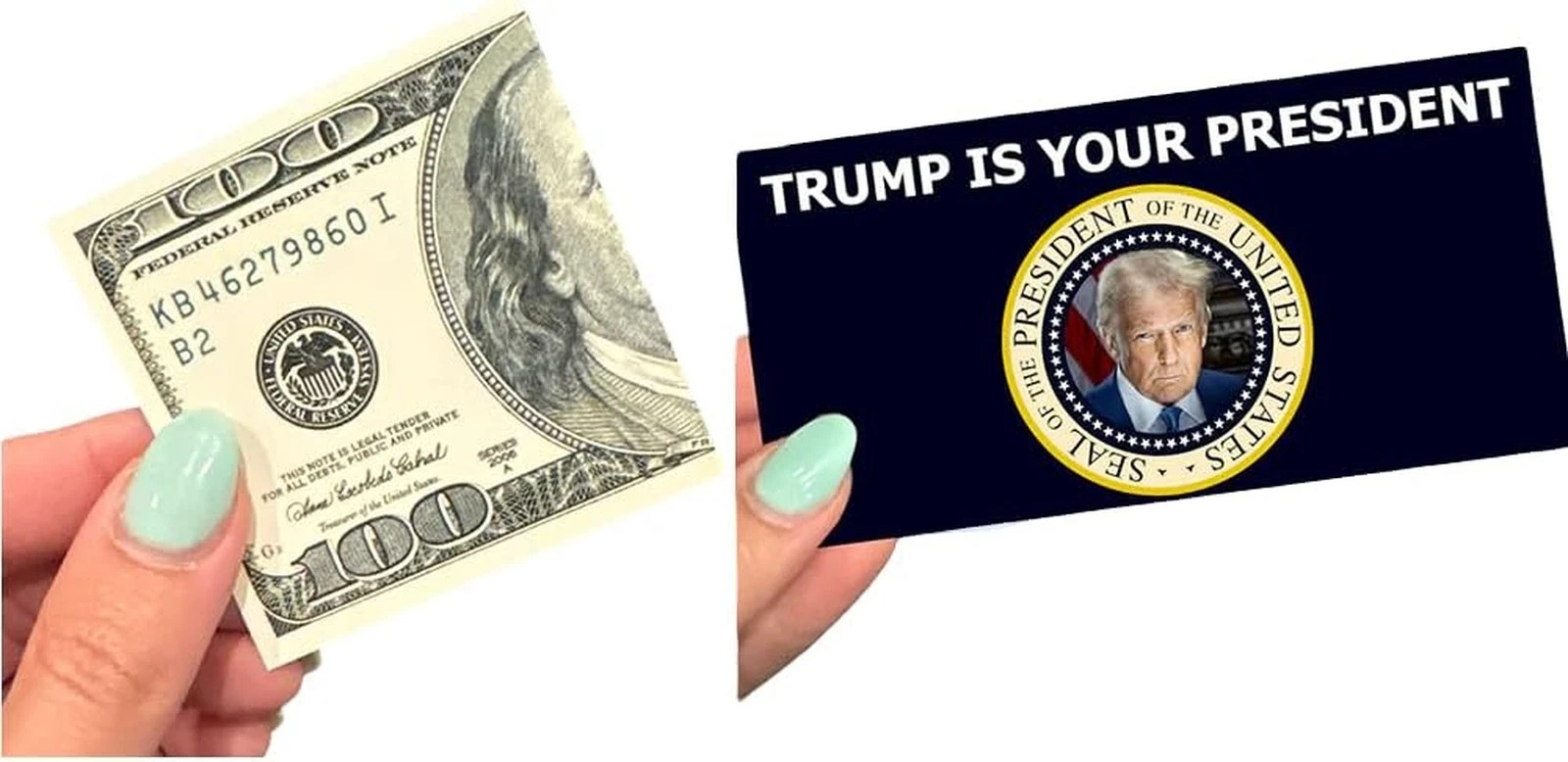 END the WOKENESS Trump Is Your President Prank Bills - Featuring Trump'S Preside