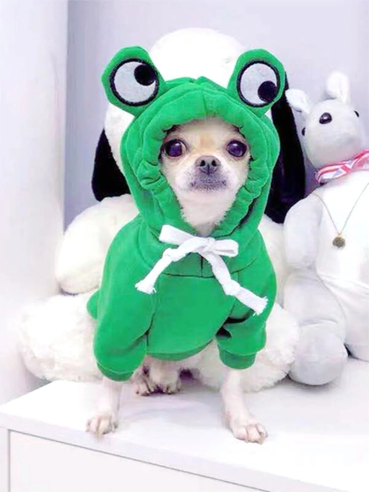 Cute Frog Dog Sweater Warm Pet Hoodie Soft Cozy Outfit for Small Medium Dogs USA