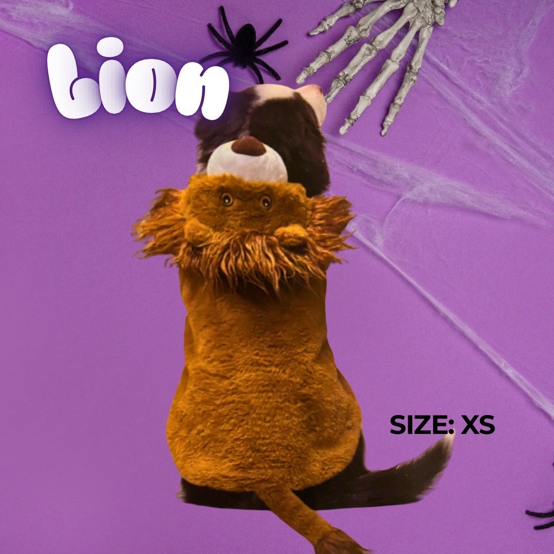 Halloween Dog Costume | Lion | XS | Perfect for Pet Parades & Photo Ops!