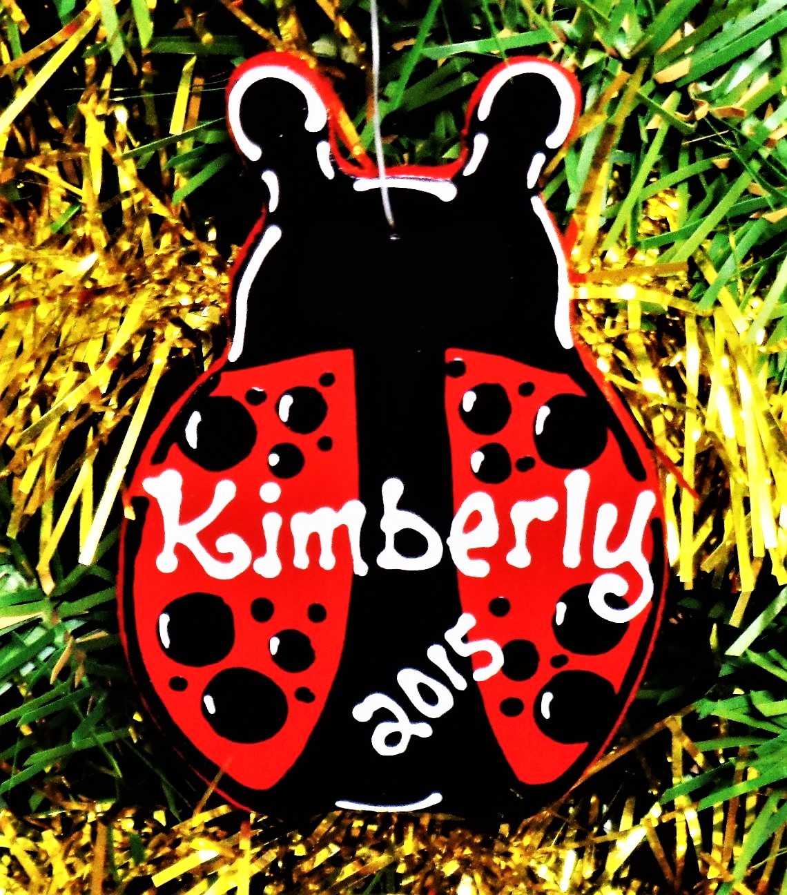 LADYBUG Christmas Ornament U CHOOSE NAME & DATE Personalized Holiday Gift Tags  