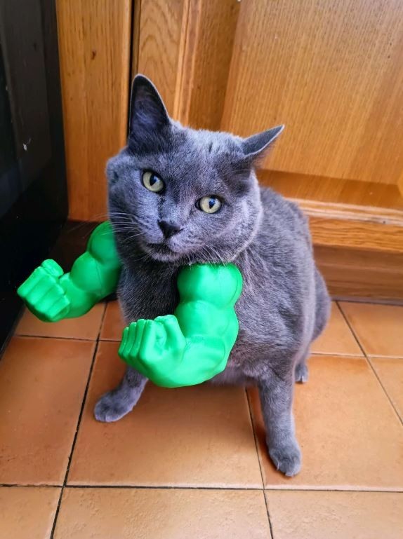 Hulk Arms for Cat – 3D Printed Funny Pet Costume Accessory, Muscles