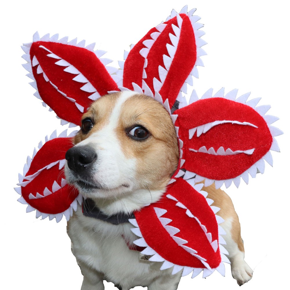 Funny Cat Hat Demogorgon Scary Flower Costume Birthday Pet Accessories AE