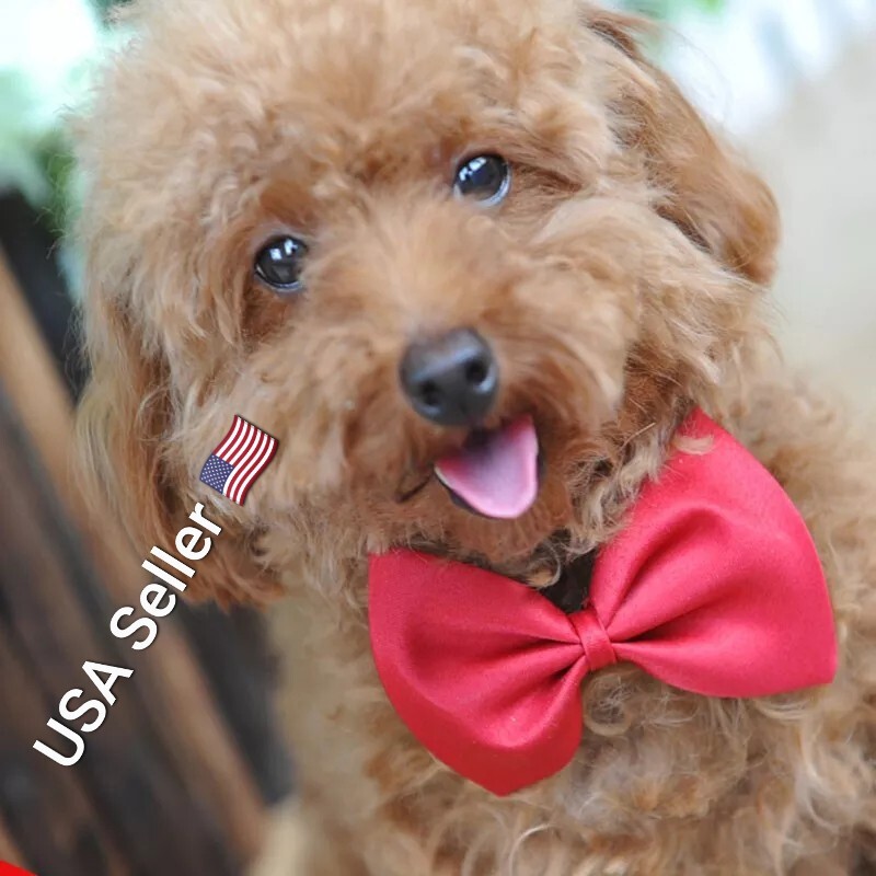 New Pet Grooming Accessories Rabbit Cat Dog Bow Tie Adjustable Bowtie Multicolor