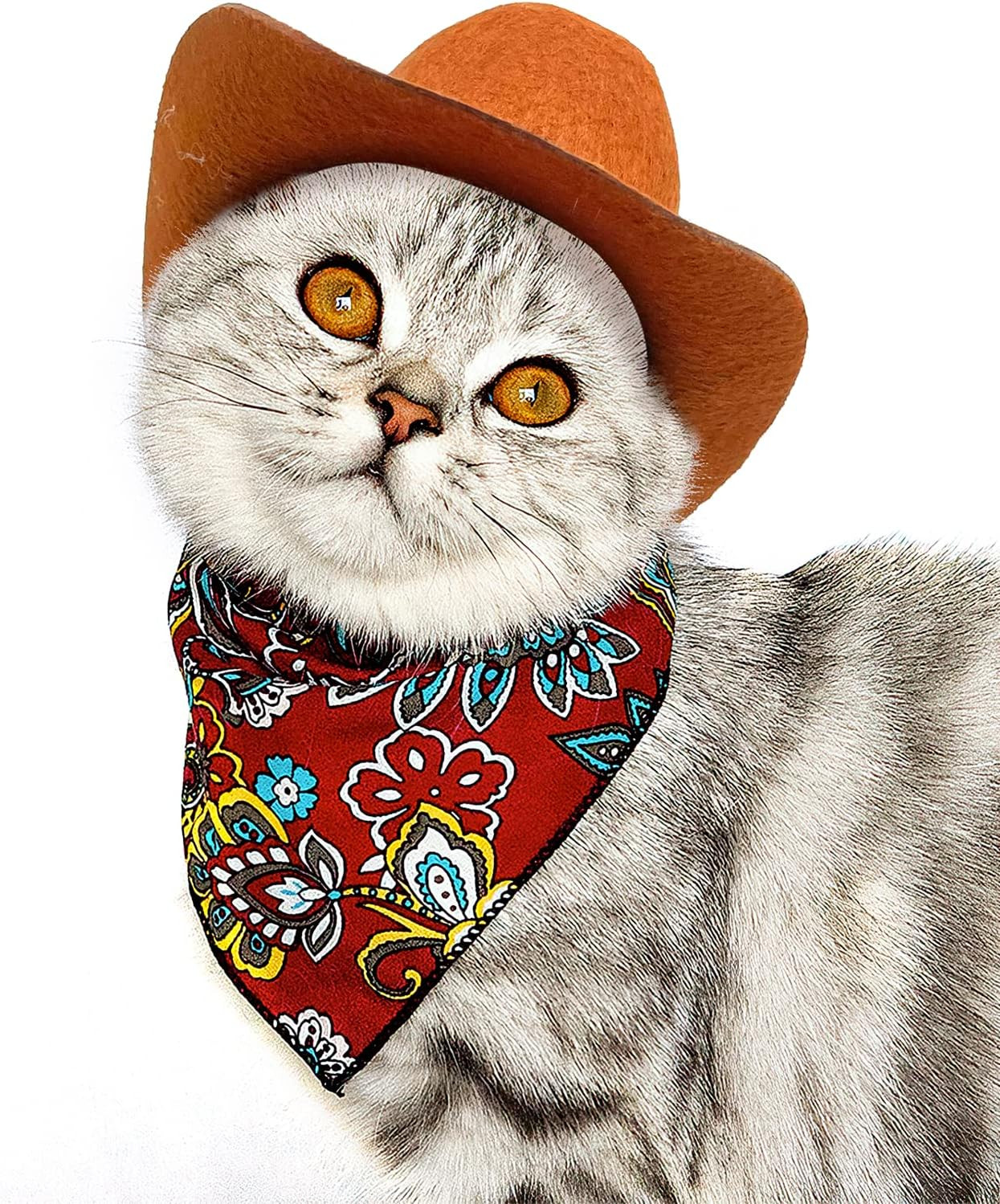 2 Pieces Funny Pet Costume Accessories Set, Cat Small Dog Cowboy Hat with Adjust