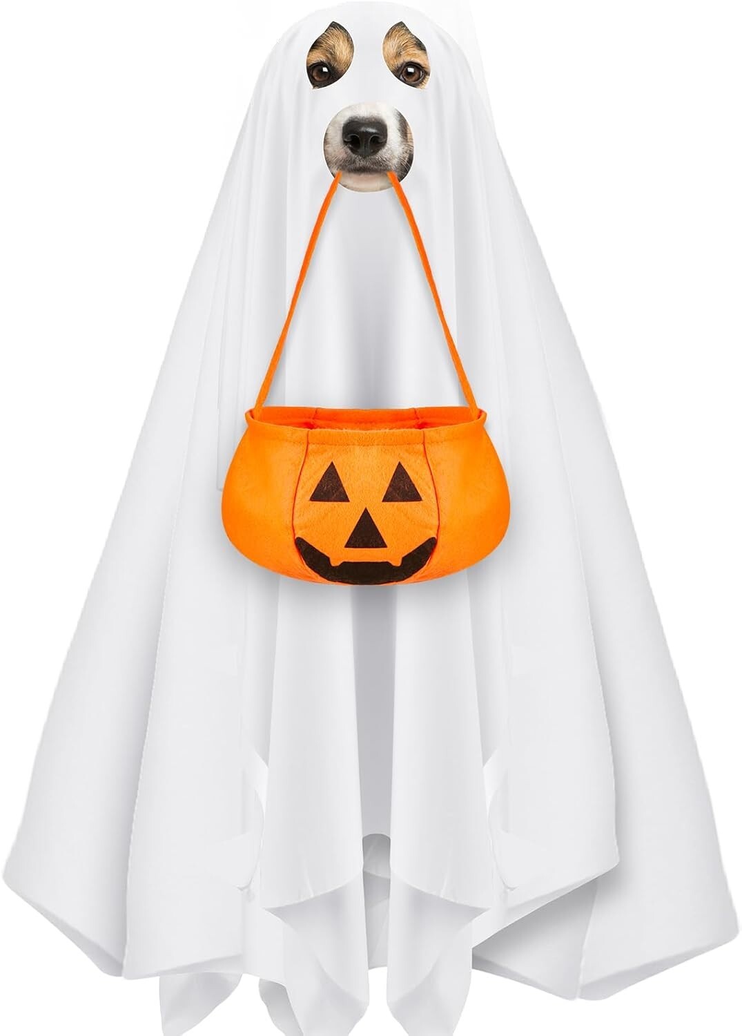 Halloween Ghost Dog Costume and Halloween Bucket, for Medium Large Dogs