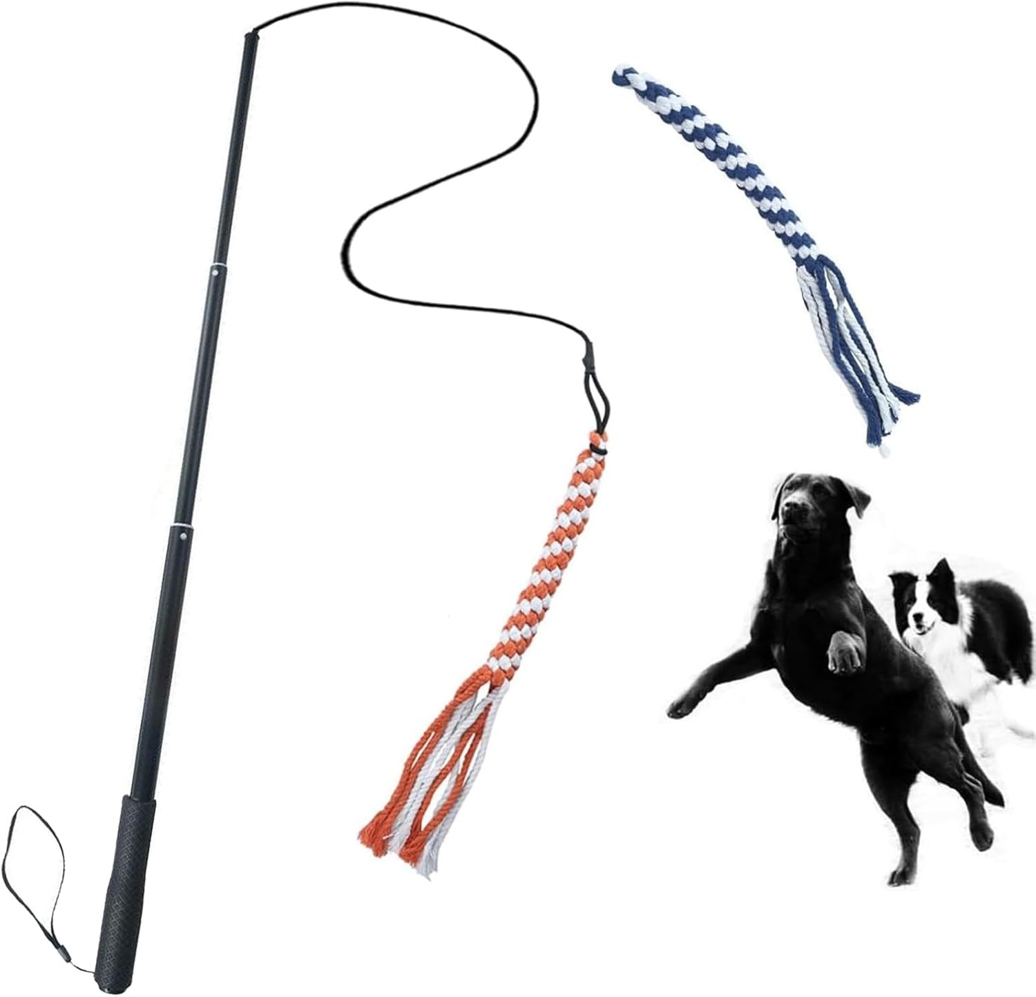 Extendable Pet Dog Train & Play Exercise Rope Tail Chase Toy Wand Pole