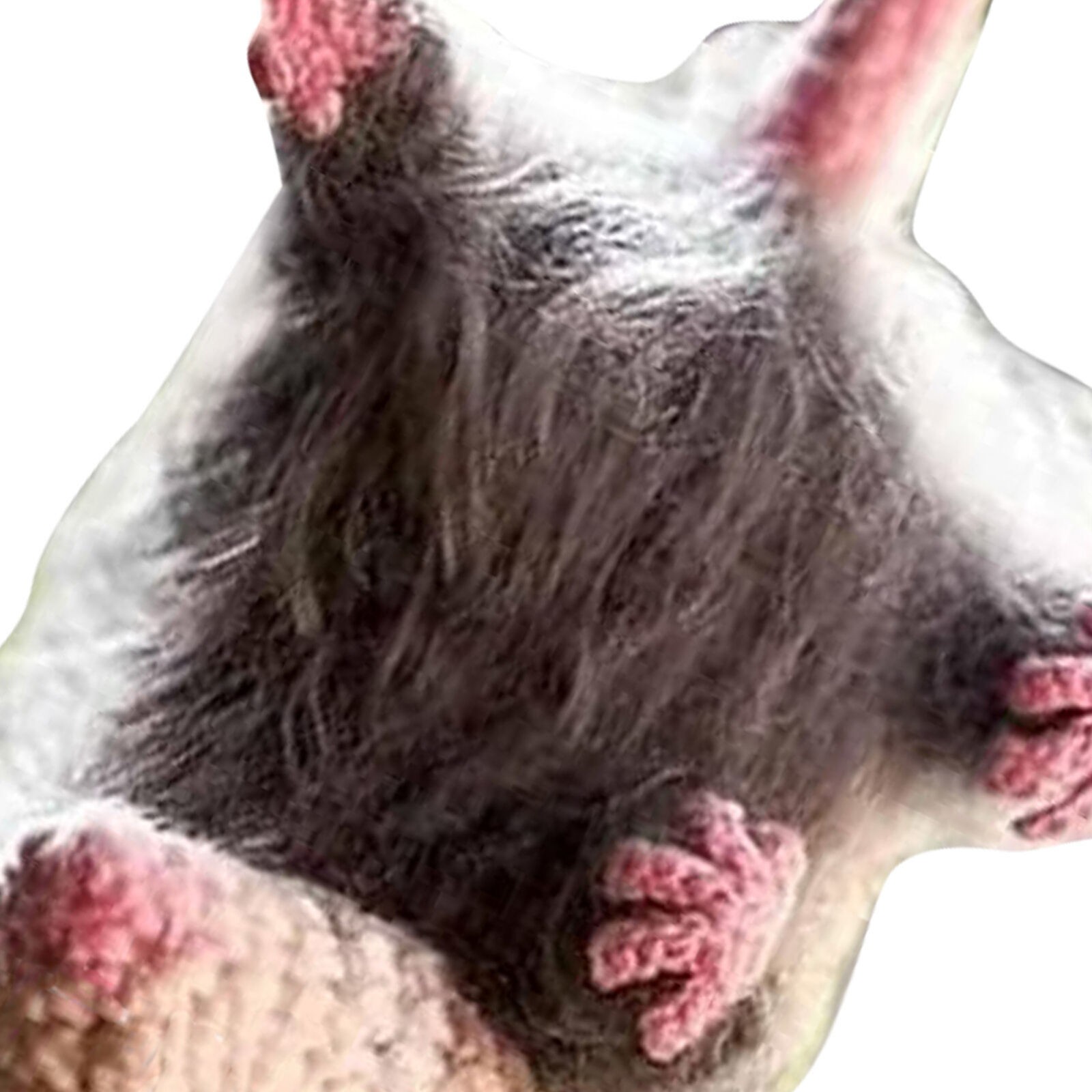 Possum Car Hanging Ornament Cute Screaming Opossum Mirror Accessory Decor