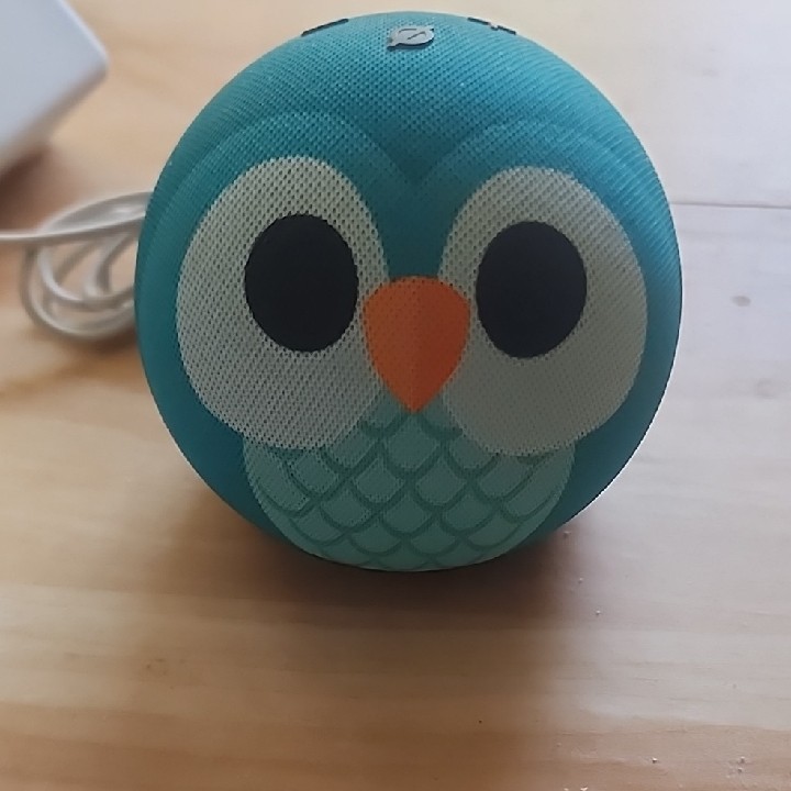 Amazon Echo Dot Kids 5th Gen. - Owl