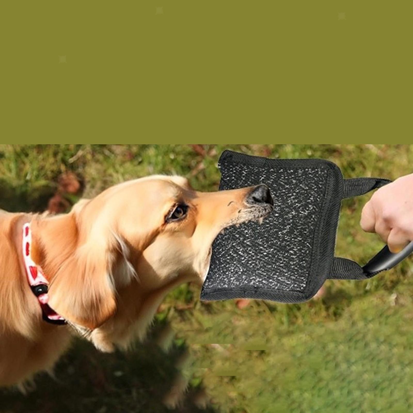 Dog Bite Pillow Durability Portable Premium Pet Supplies Interactive Tug Toy