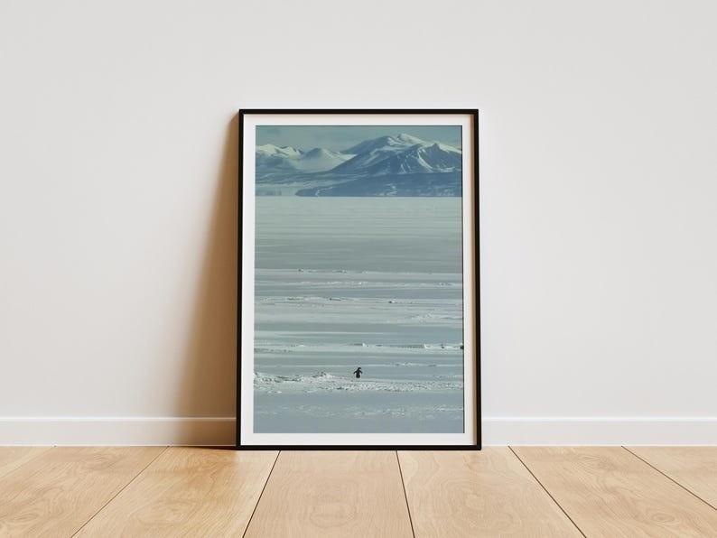 Motivational Penguin Wall Art - But Why Penguin Poster, Nihilist Penguin Print