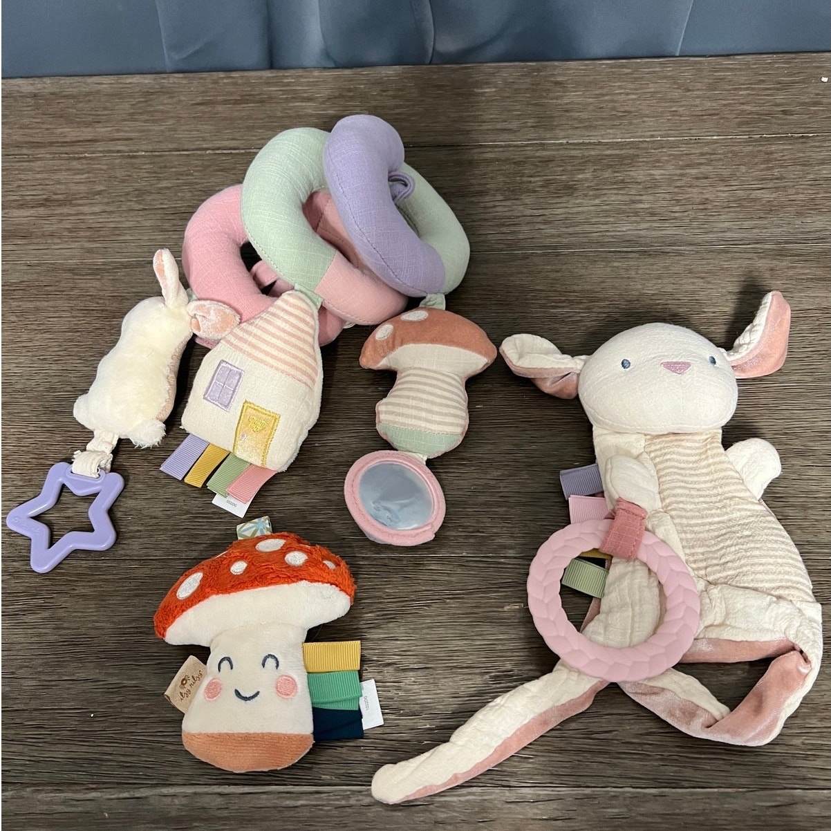 Itzy Ritzy Lovey Teether & Stroller Accessory Lot