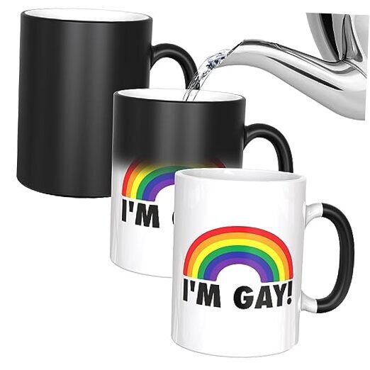 Rainbow Heat Change Mug - Funny Rude Mug - Message Appears as it Heats  I'm Gay
