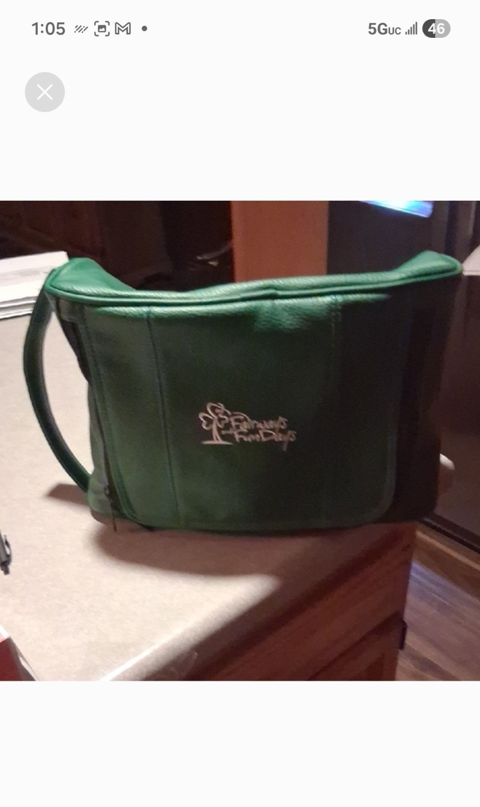 Fairways And Fun Days Green Bag With Golf Accessories