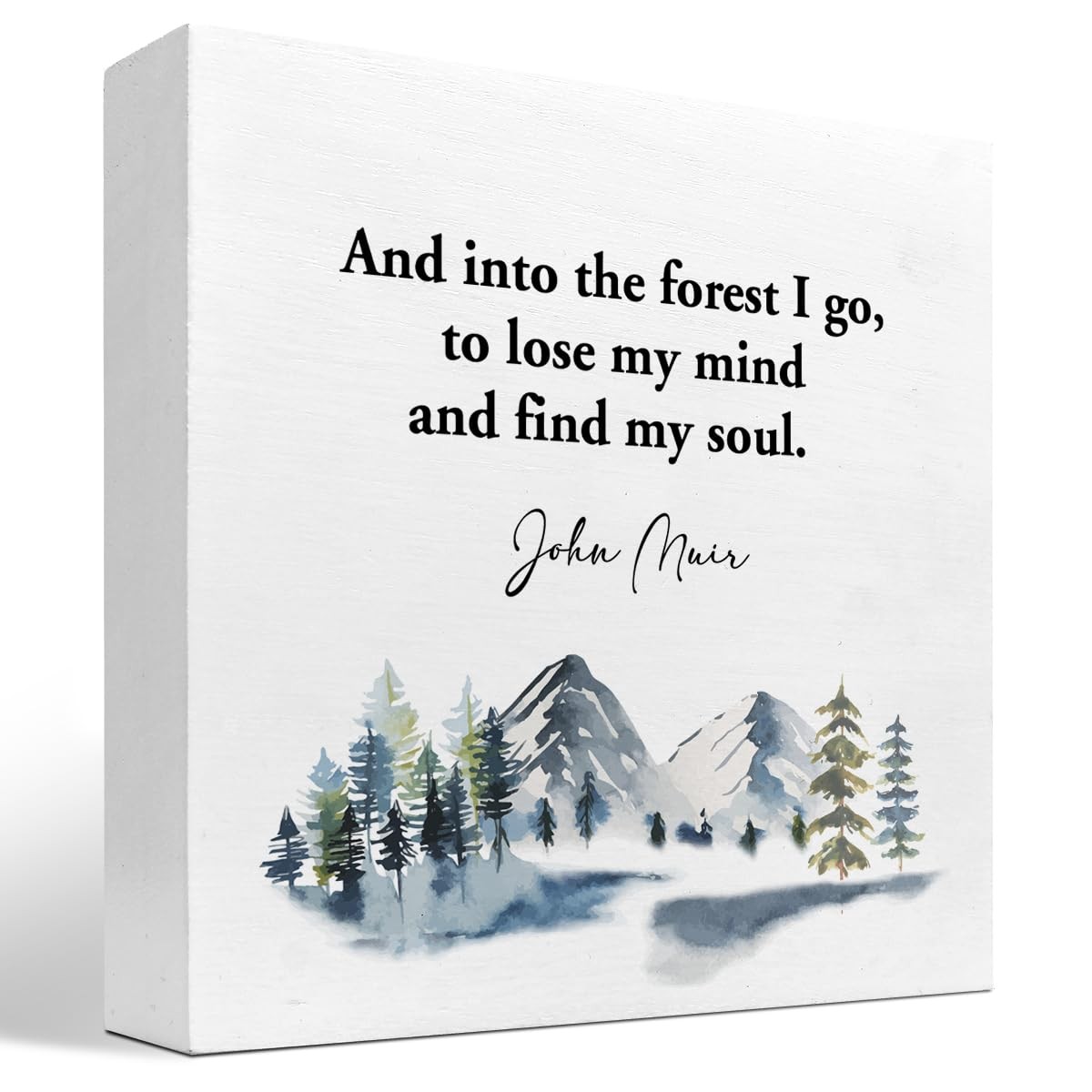 Into The Forest I Go Wood Box Sign Inspirational Block Plaque Desk Decor Home