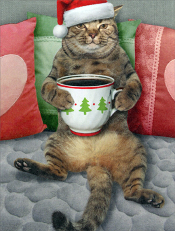 Sitting Cat  Festive Mug Resting on Belly Pkg of 8 Funny Christmas Note Cards