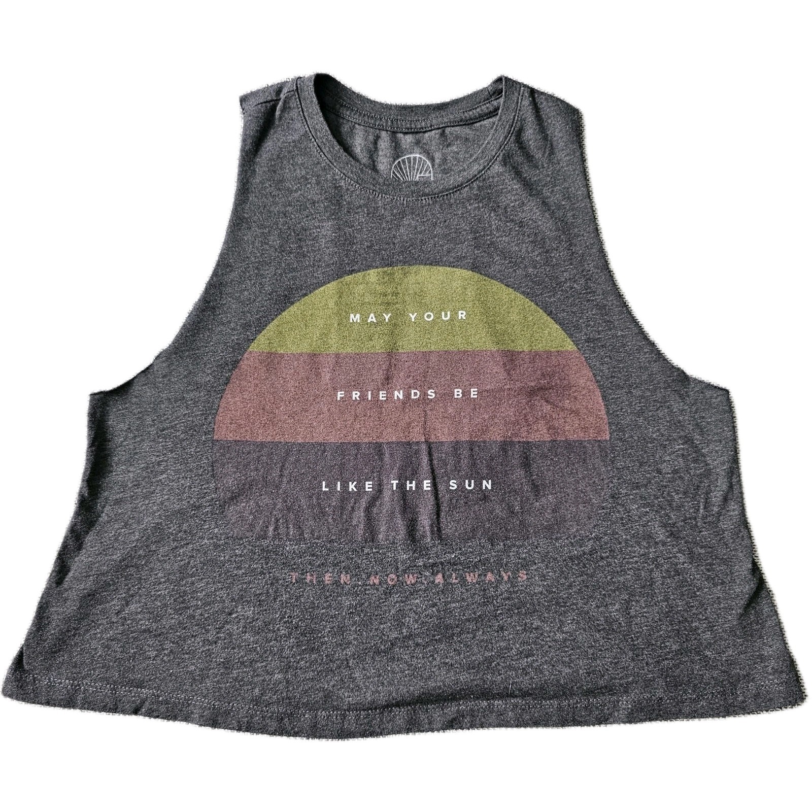 Graphic Muscle Tank Crop Top Womens M Gray Inspirational Christian Faith Verse