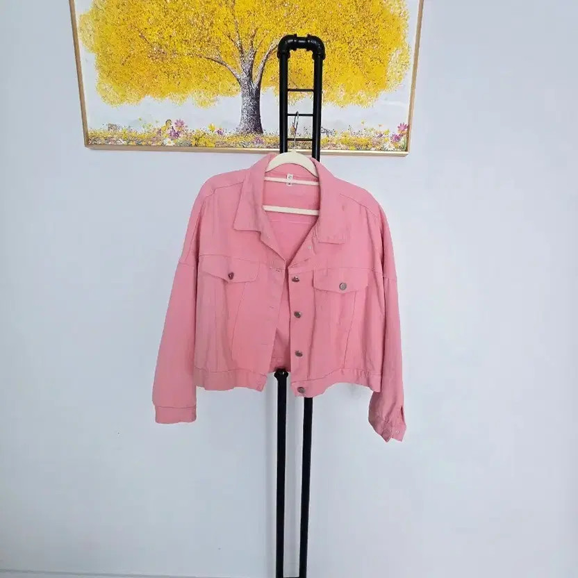 Pink Denim Cropped Jacket Women Size Free, Cute & Stylish Official