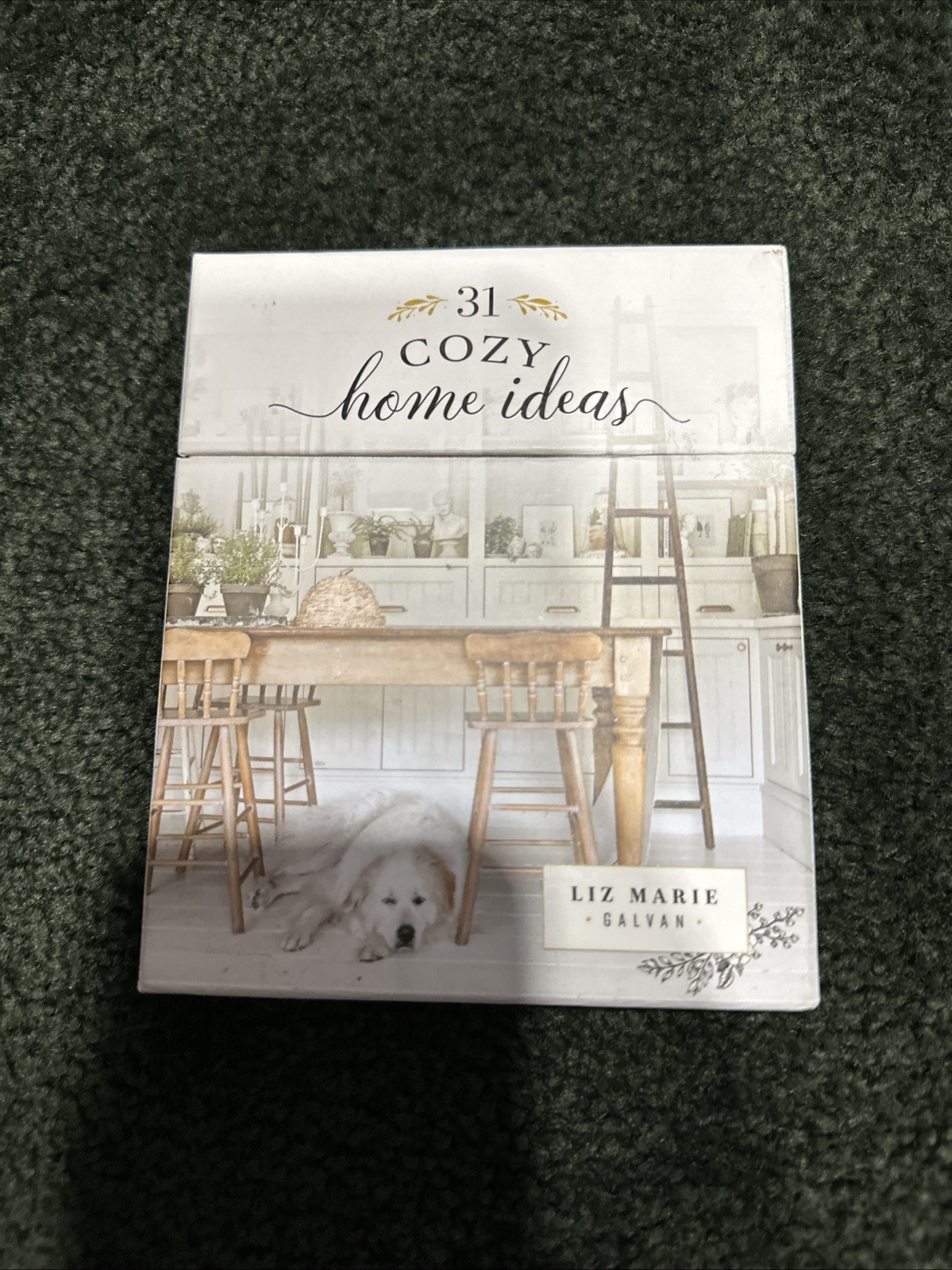 31 Cozy Home Ideas Liz Marie Galvan EUC!!!