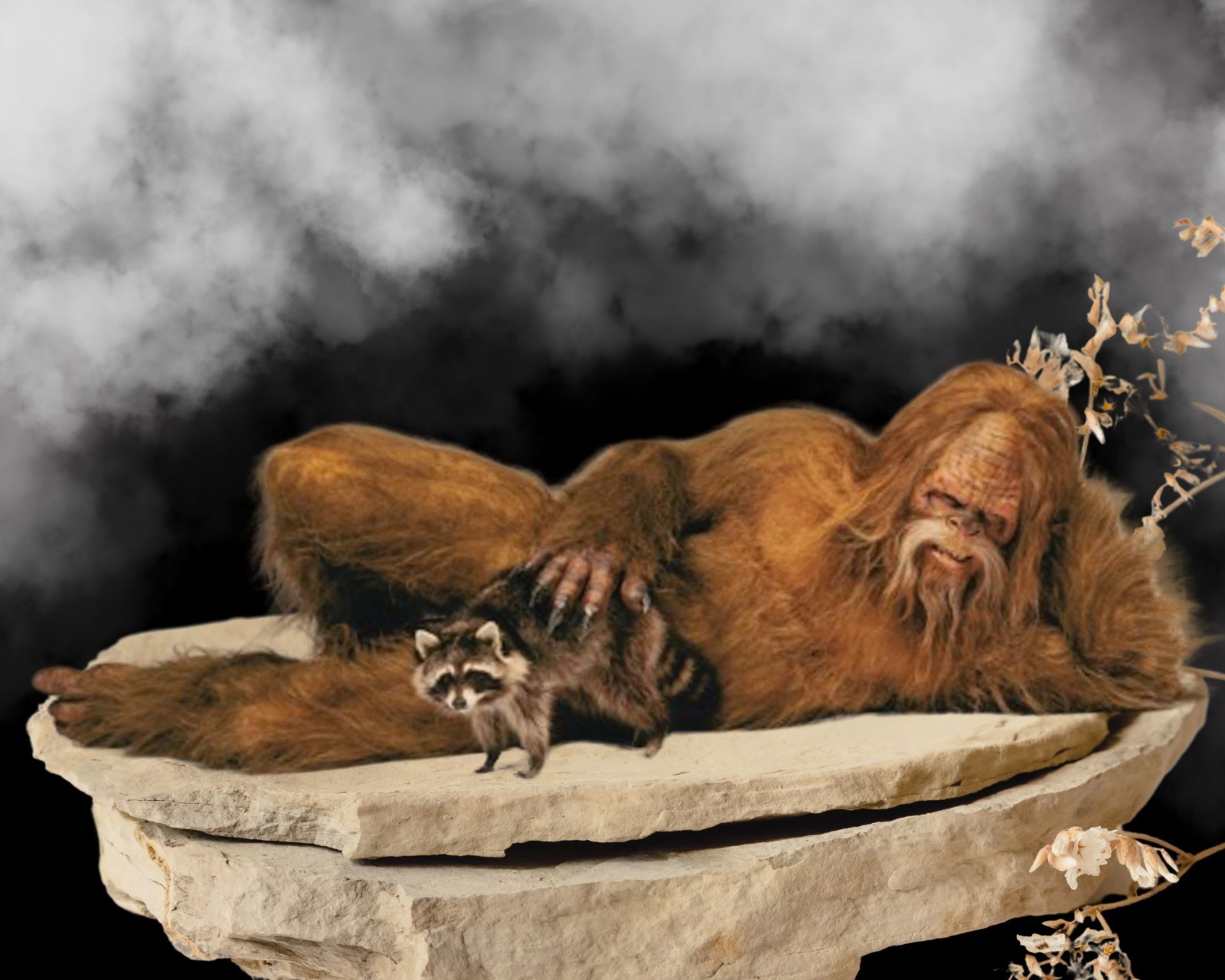 Sasquatch wall art & Racoon at Home Quirky Podium Scene Fantasy Creature Art Uni