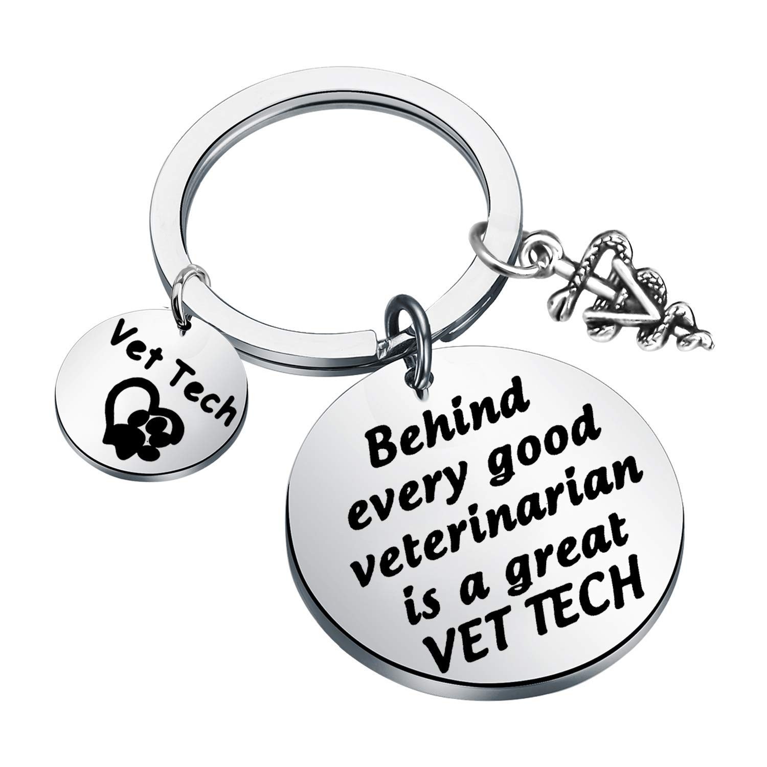 Vet Tech Gift Veterinarian Keychain Veterinary Medicine Graduation Gift (Great V