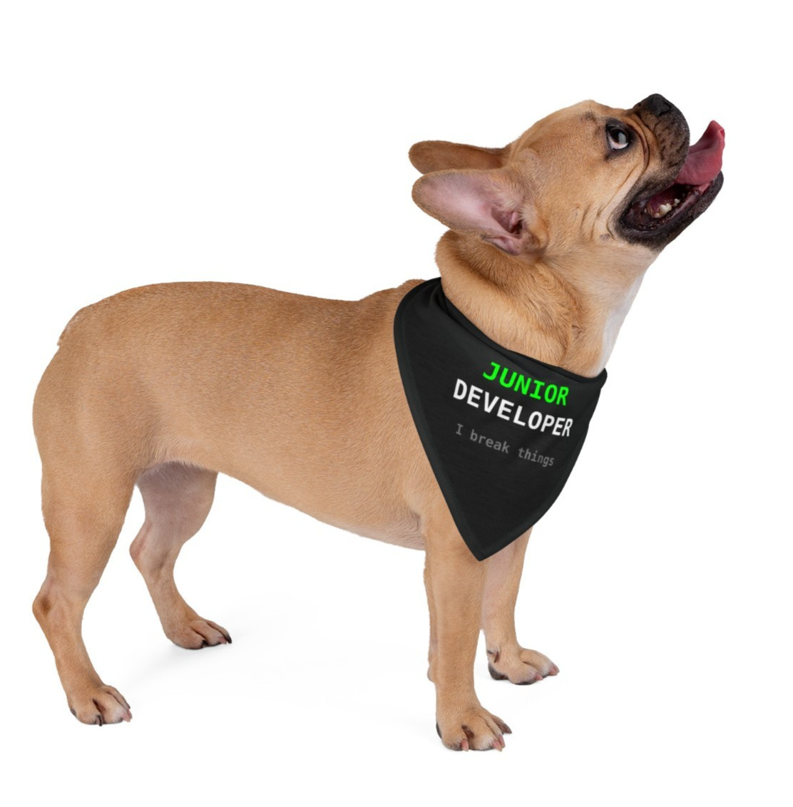 Junior Developer Dog Bandana Funny Pet Accessory Python Coding Programmer Gift