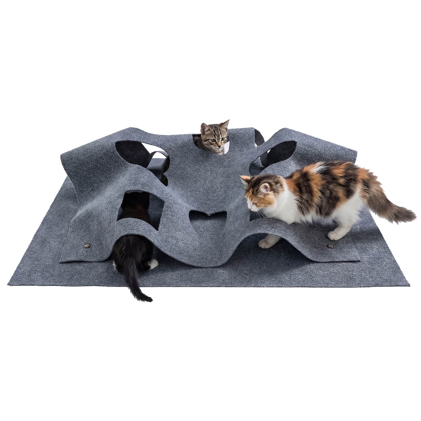 48” x 36” Interactive Foldable Cat Tunnel w/8 Funny Cat Holes, Pet Accessory