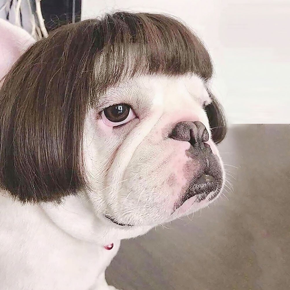 Adorable Pet Costumes Funny Wig Pet Accessories Headwear Pet Headdress