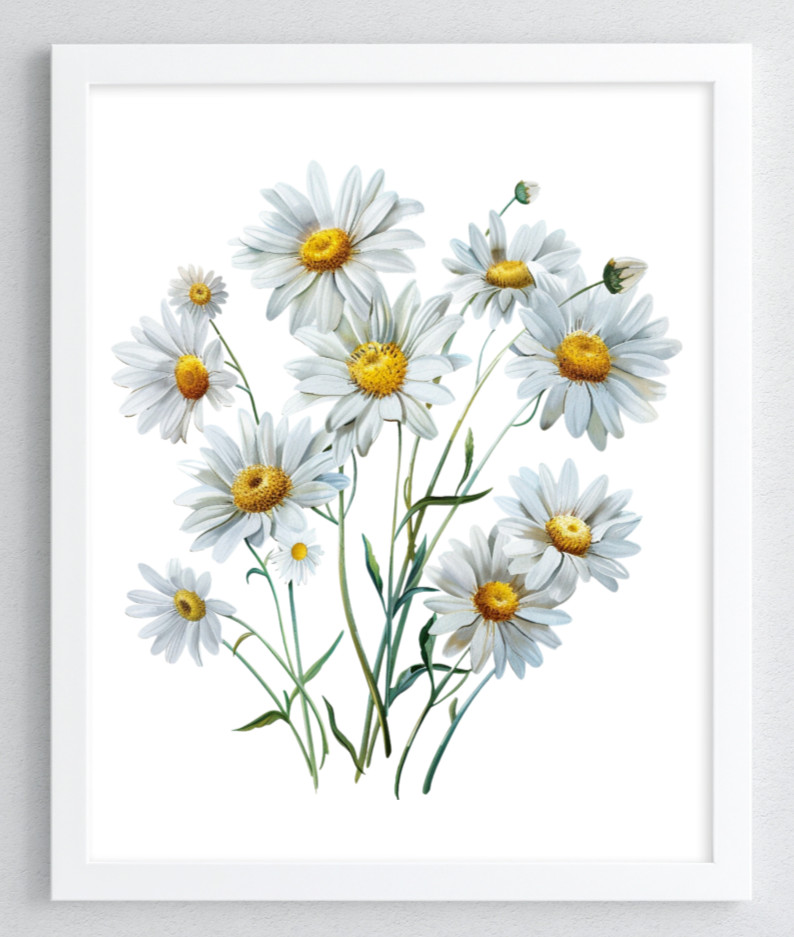 Floral Wall Art Print, Daisies Wall Art Decor, Botanical Home Wall Art Print #55