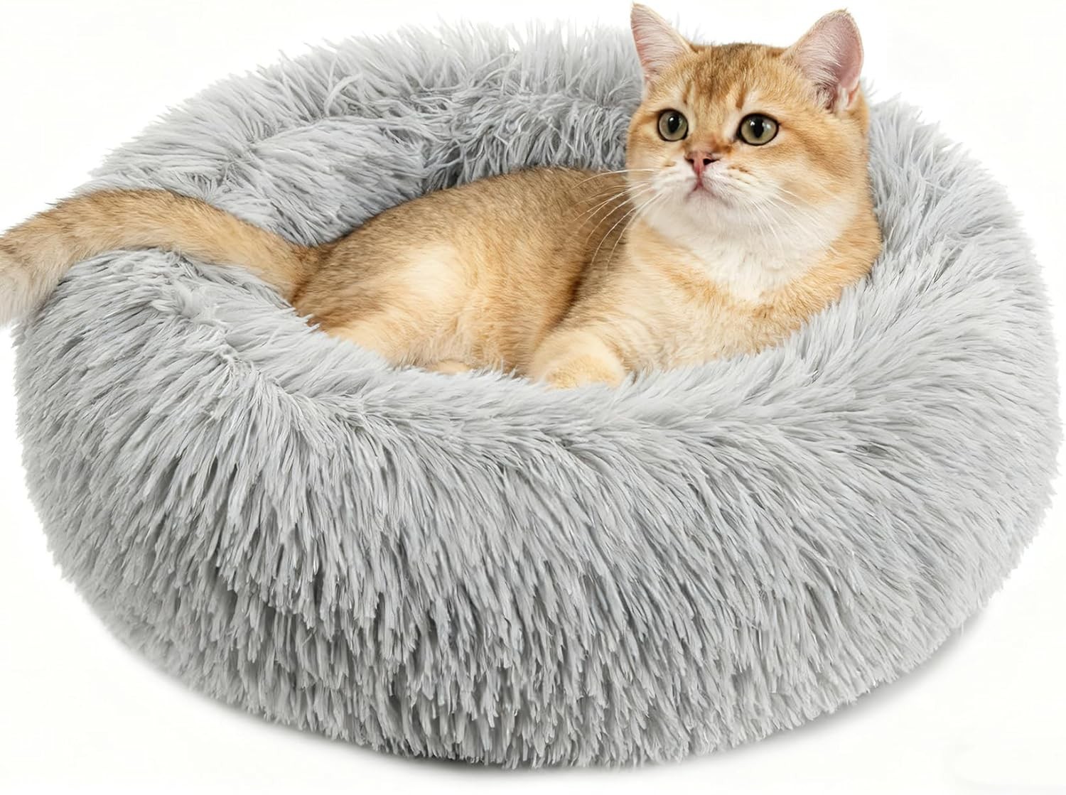 Cat Bed - Calming Cat Bed for Small Kittens Donut Washable Round for Indoor
