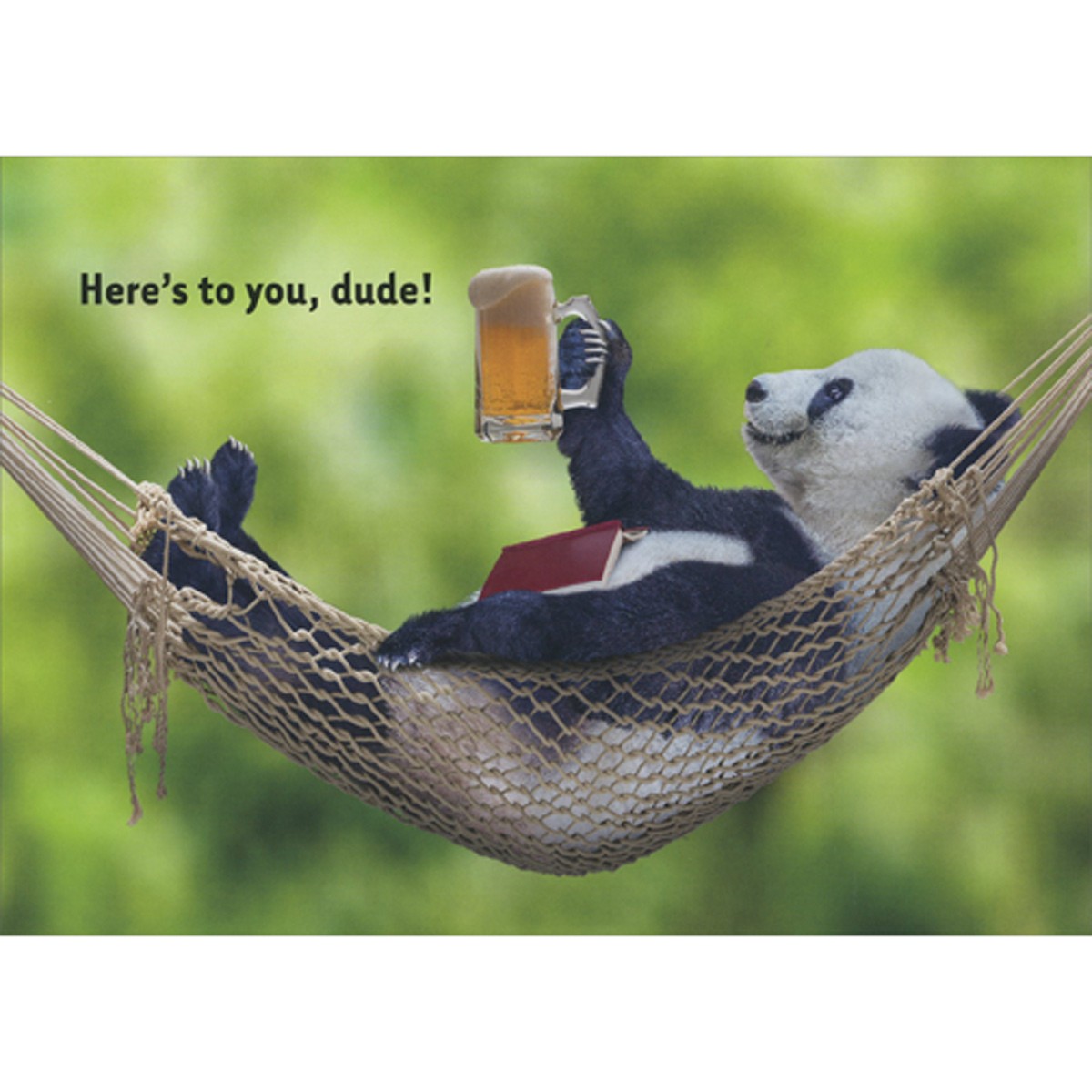 RSVP Panda in Hammock with Beer Mug and Book Funny Birthday Card for Man